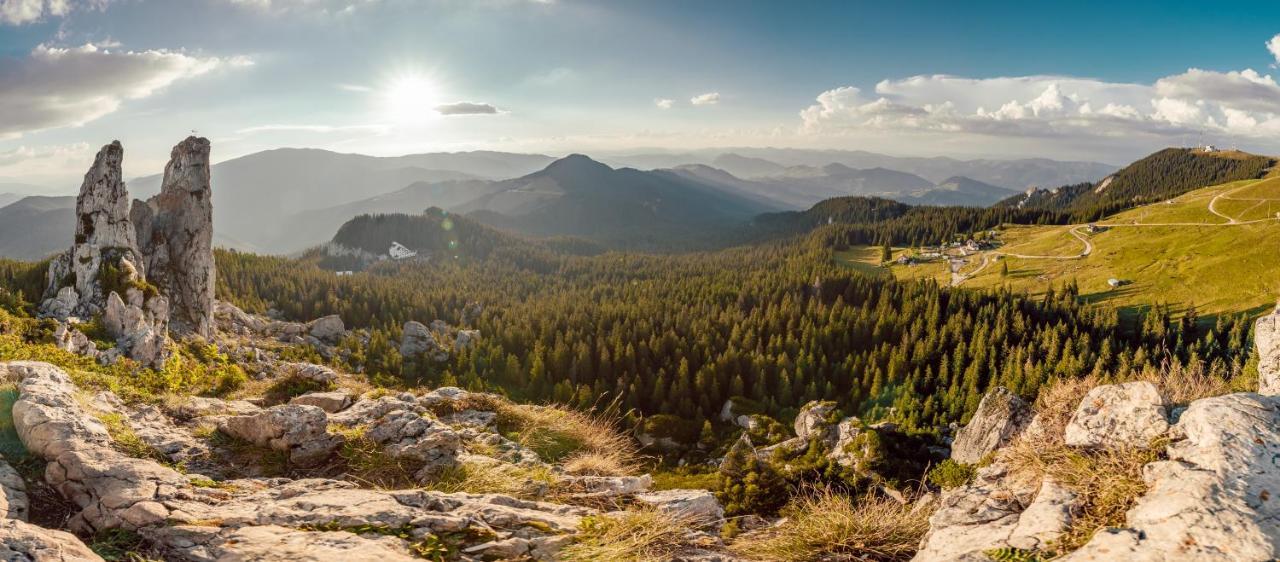 Vila Genia Câmpulung Moldovenesc Buitenkant foto